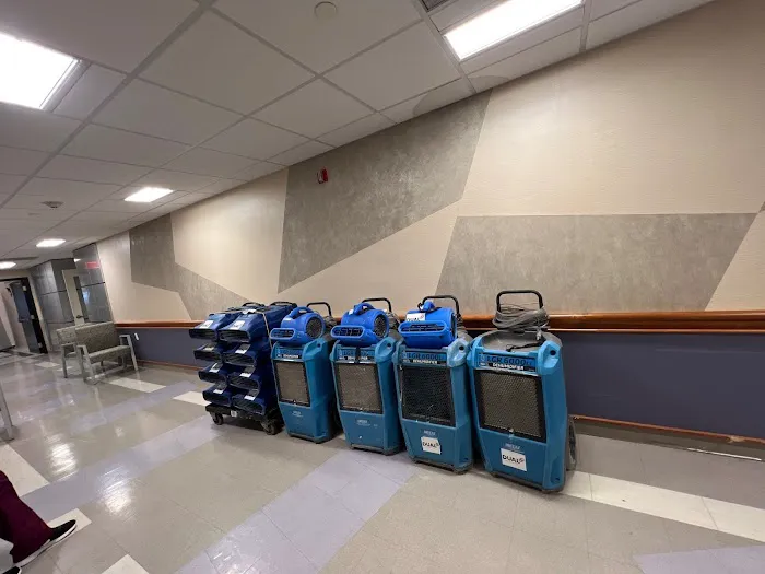 Dual Restoration Picture 5