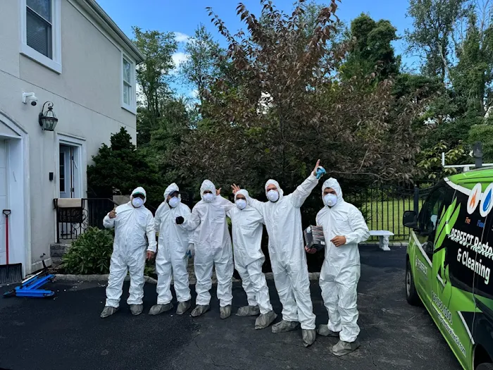 Perfect Restoration & Cleaning Picture 7