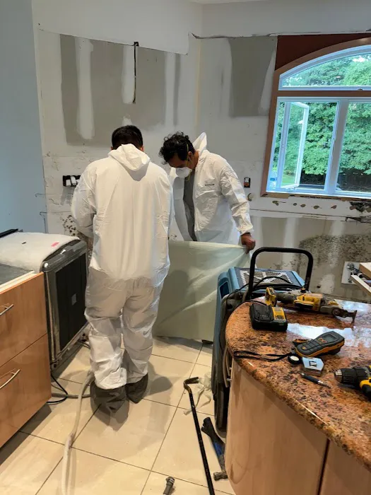 Perfect Restoration & Cleaning Picture 6