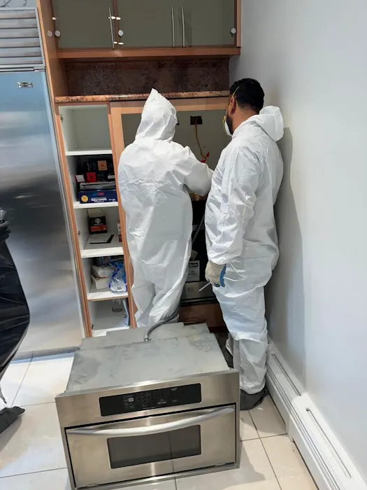 Perfect Restoration & Cleaning Picture 2