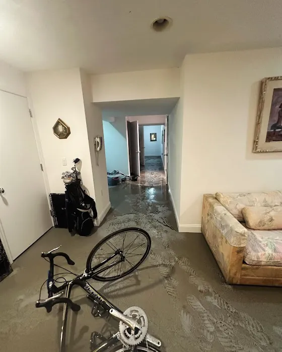 Wet Eliminator Water Damage Picture 7