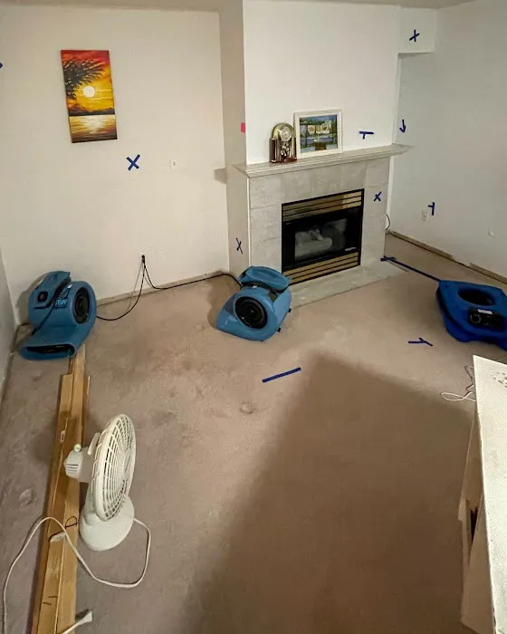 Wet Eliminator Water Damage Picture 8