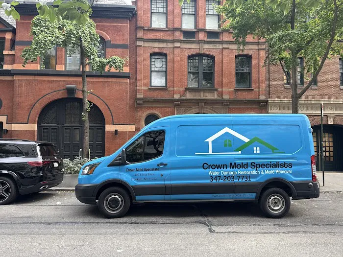 Crown Mold Specialists Picture 7