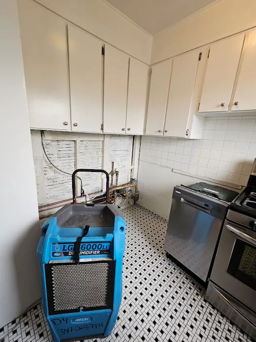 Crown Mold Specialists Picture 6