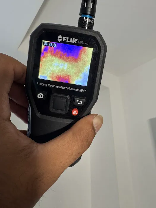 Crown Mold Specialists Picture 9