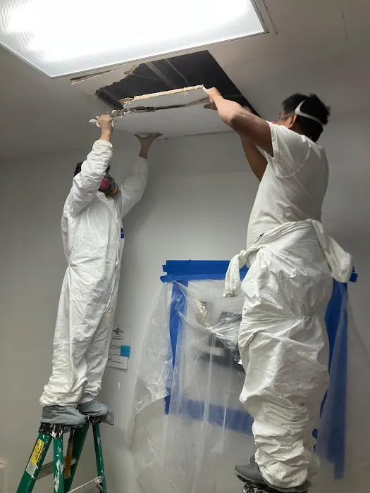 Mold Water Remediation Picture 1