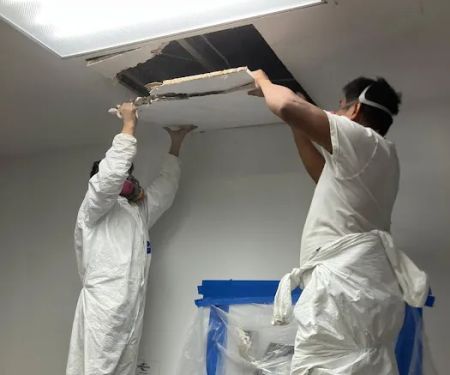 Mold Water Remediation