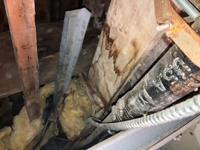 Mold Water Remediation Picture 5