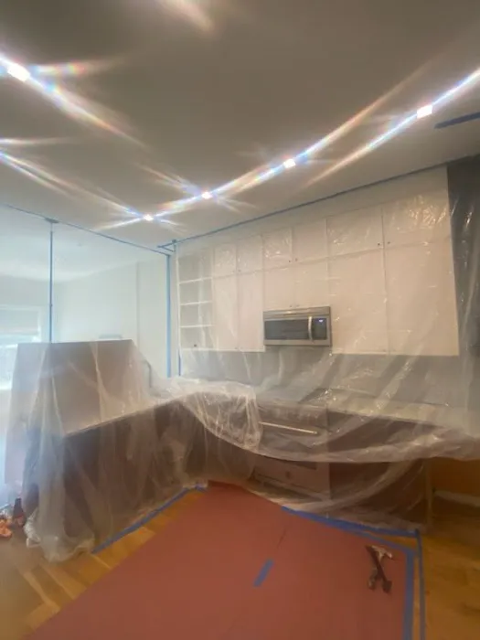 Mold Water Remediation Picture 4