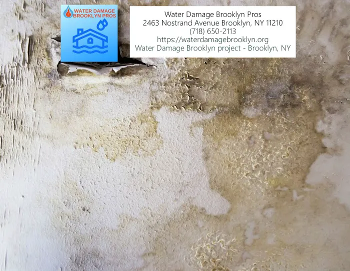 Water Damage Brooklyn Pros Picture 2