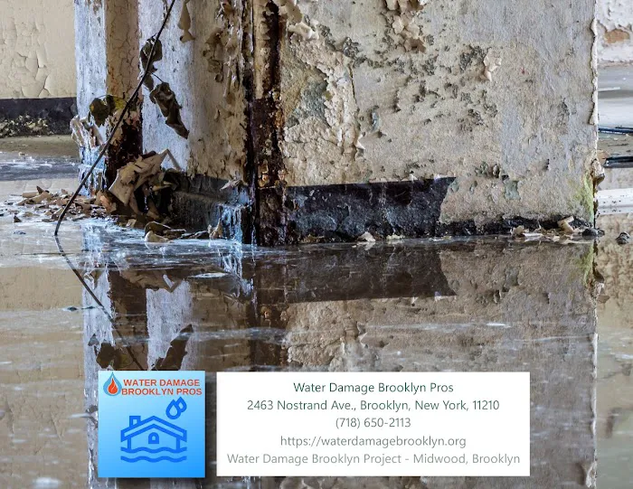 Water Damage Brooklyn Pros Picture 3