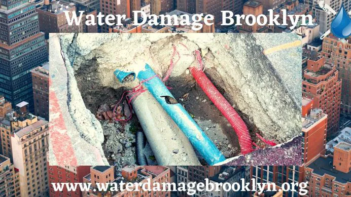 Water Damage Brooklyn Pros Picture 7