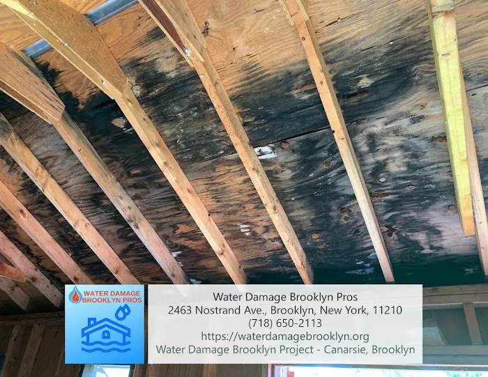 Water Damage Brooklyn Pros Picture 5