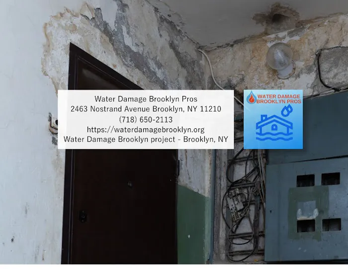 Water Damage Brooklyn Pros Picture 1