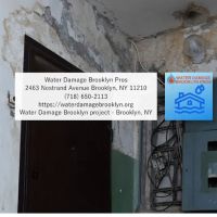 Water Damage Brooklyn Pros ico