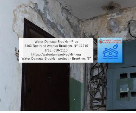 Water Damage Brooklyn Pros
