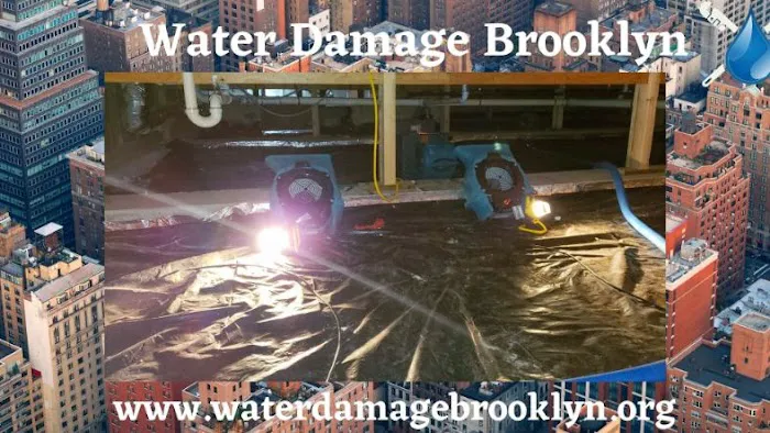Water Damage Brooklyn Pros Picture 6