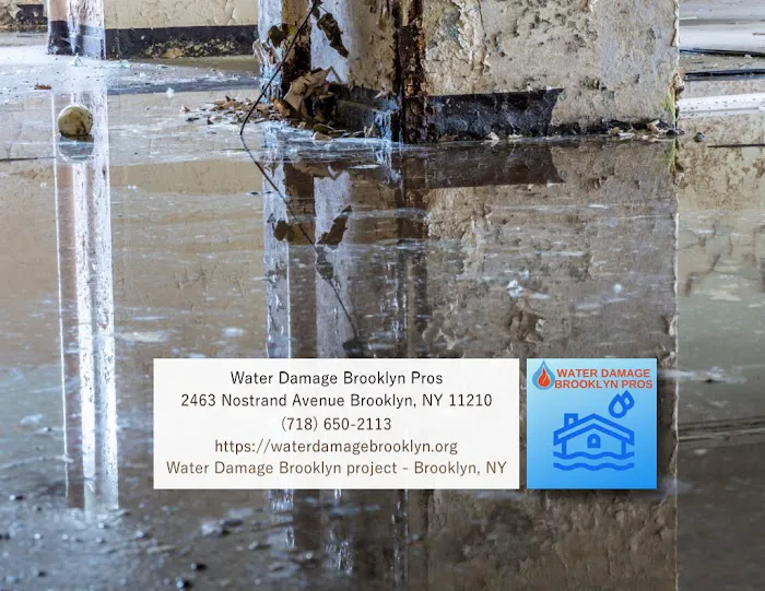 Water Damage Brooklyn Pros Picture 4