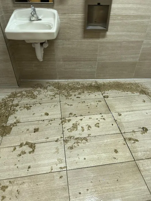 NY Water Removal & Flood Clean Up - ASAP Picture 2