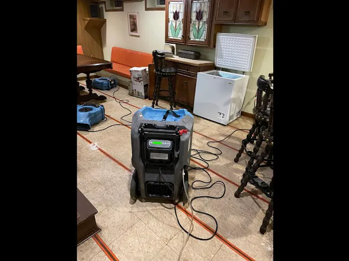 WeR Brooklyn NY Picture 3