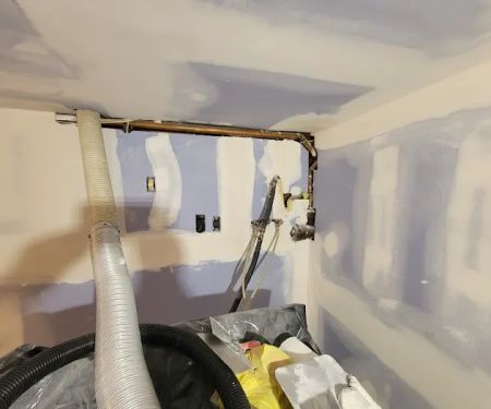 Prime Mold Removal Brooklyn