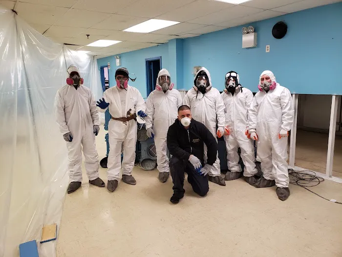 Prime Mold Removal Brooklyn Picture 7