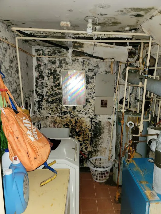 Prime Mold Removal Brooklyn Picture 9