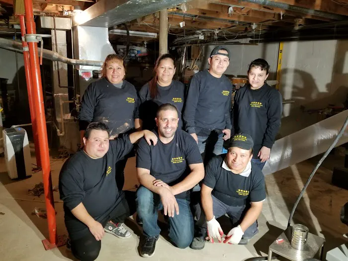 Prime Mold Removal Brooklyn Picture 10