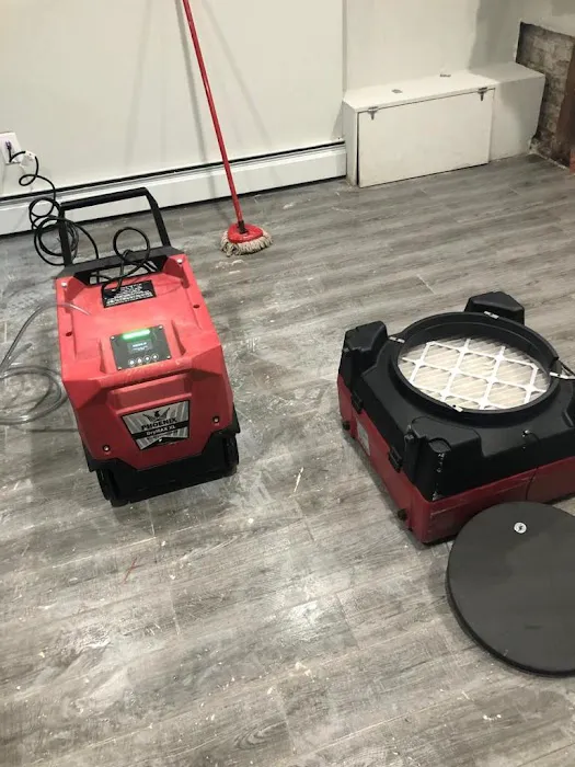 Rainbow International Picture 5