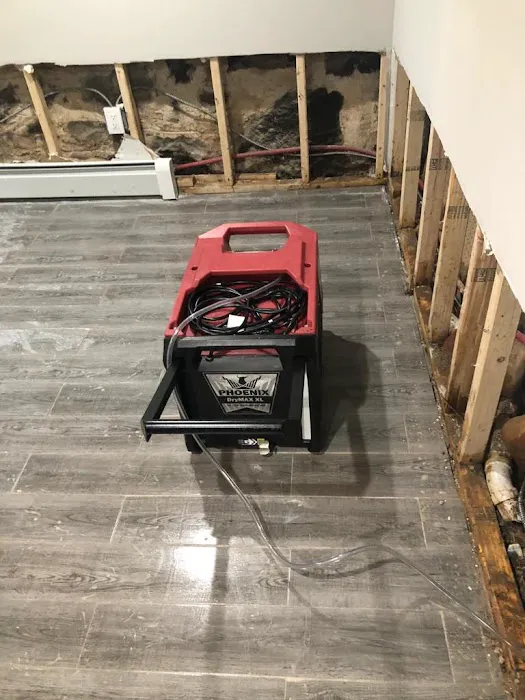 Rainbow International Picture 7