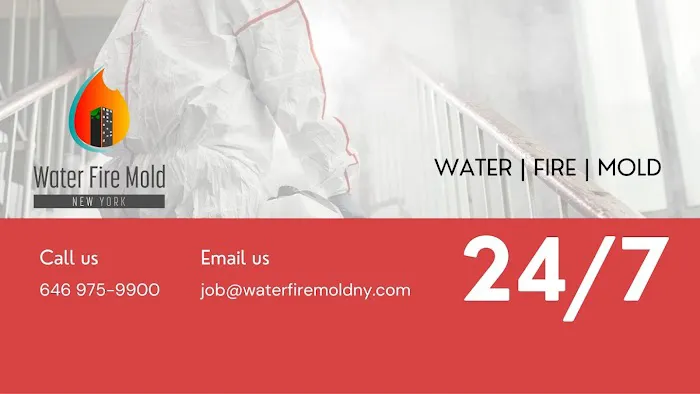 Rainbow International Picture 9