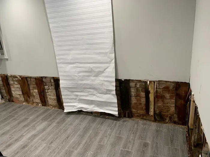 Rainbow International Picture 2