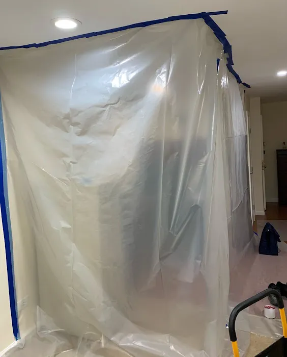 Rainbow International Picture 6