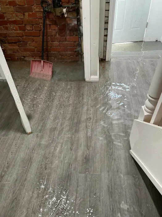 Rainbow International Picture 4