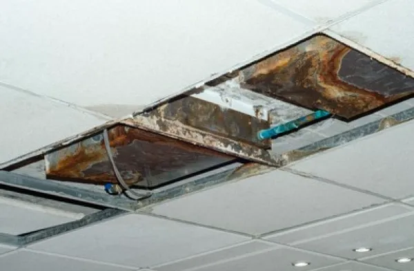 Ny Of Manhattan Picture 1