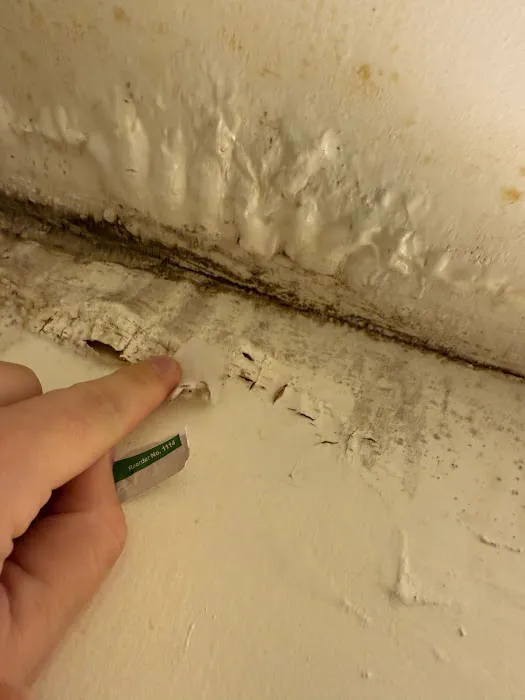 ABC Environmental LLC Picture 10