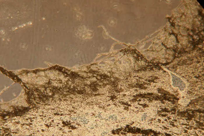 Noble Waterworks Picture 8