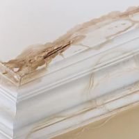 Flood Damage NYC ico