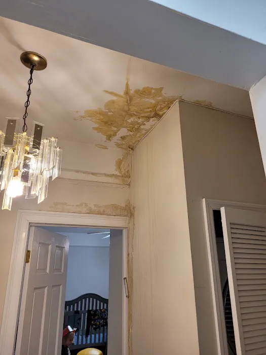 Whac A Mold Picture 2