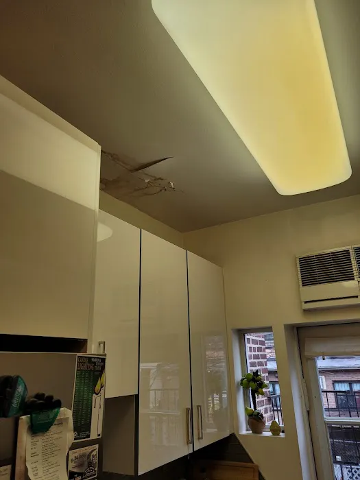 Whac A Mold Picture 8