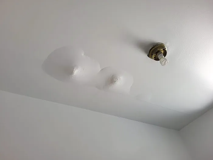 Whac A Mold Picture 6