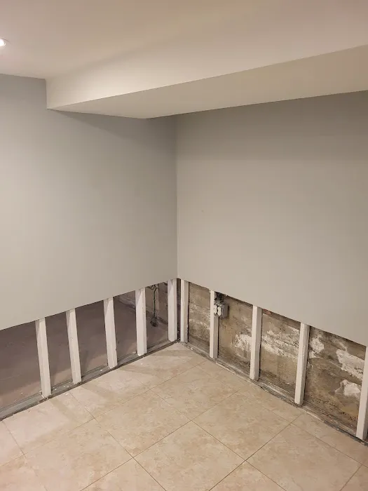 Whac A Mold Picture 7