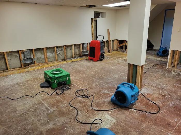 Whac A Mold Picture 10