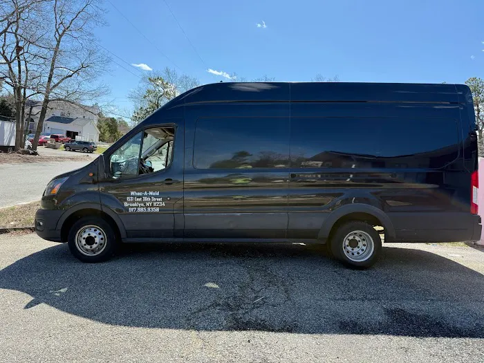 Whac A Mold Picture 1