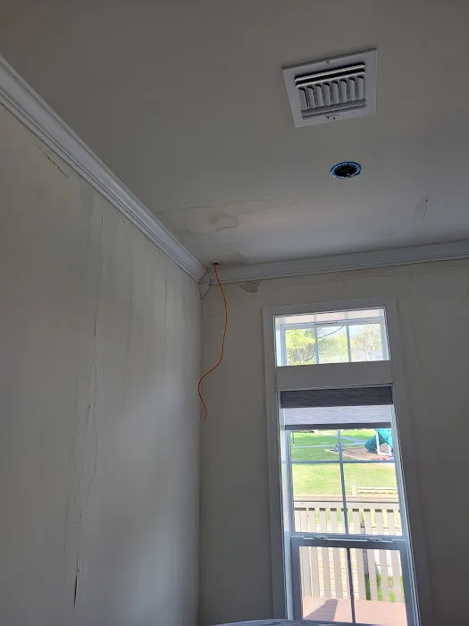 Whac A Mold Picture 9