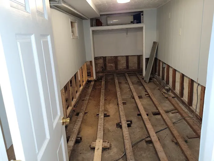 Whac A Mold Picture 5