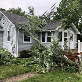 Service Resource And Restoration, Llc Picture 10