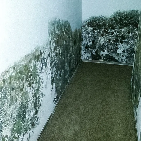 TKOR Solutions Picture 3