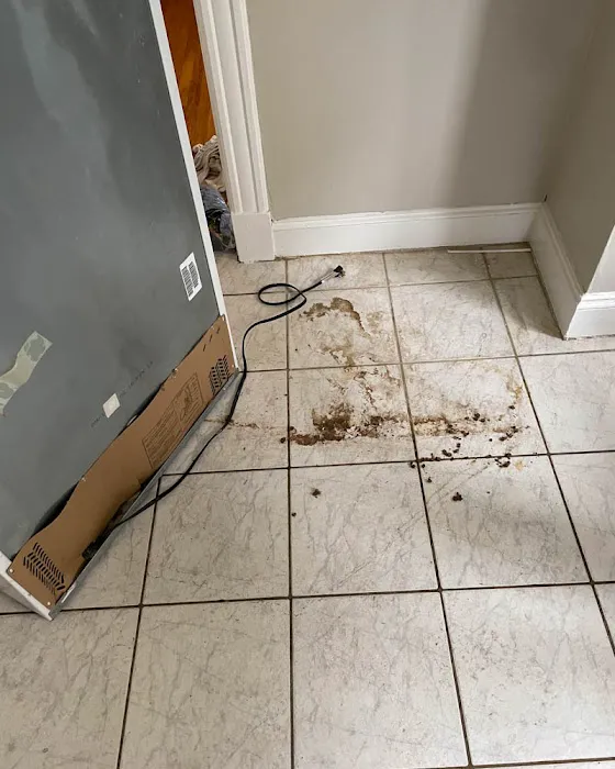 SERVPRO of Scarsdale/Mount Vernon Picture 8