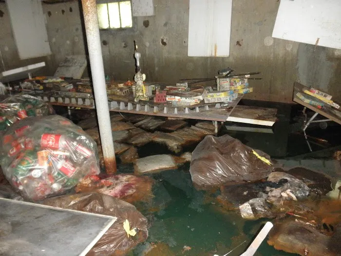 New Crystal Restoration Picture 6